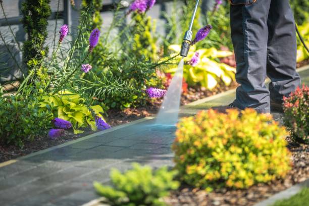 Reliable Bay City, OR  Pressure Washing Services Solutions
